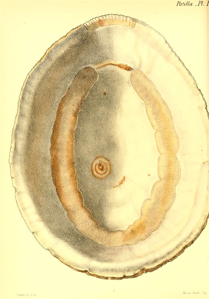 n363_w1150