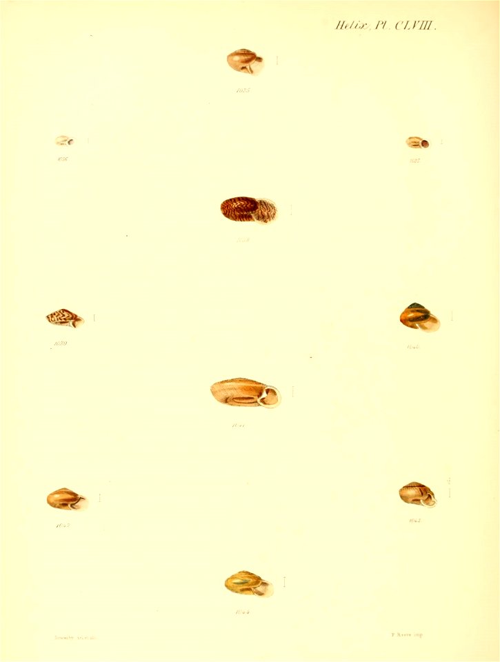 n663_w1150