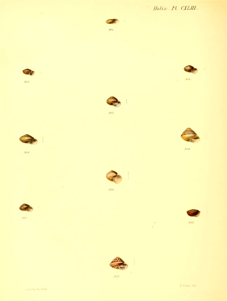 n603_w1150
