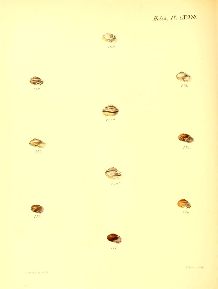 n531_w1150