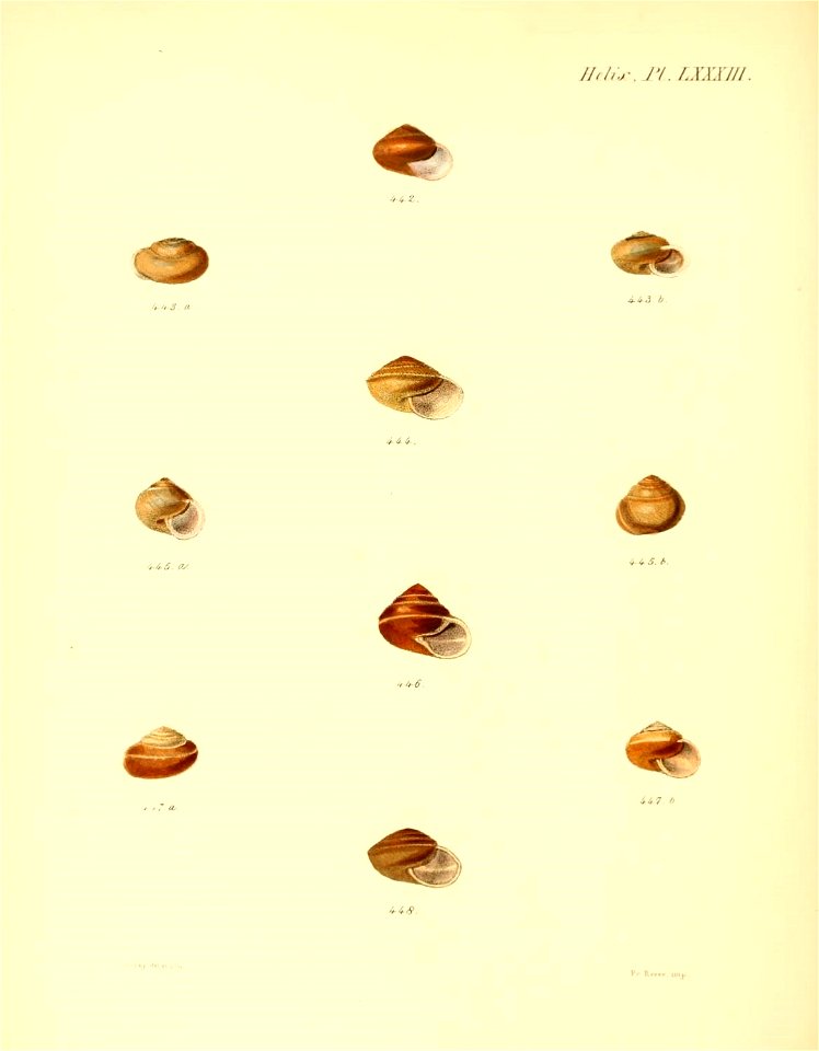 n339_w1150