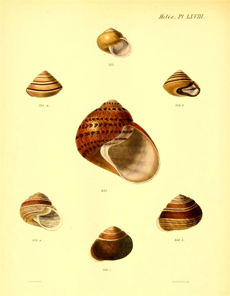 n279_w1150