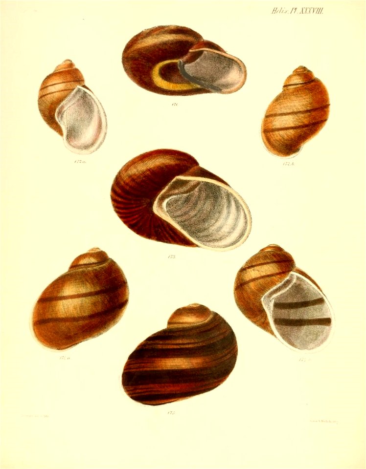 n159_w1150