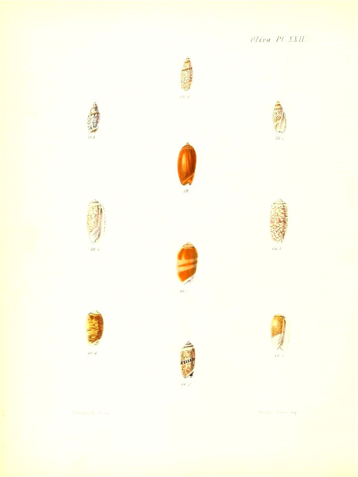 n401_w1150