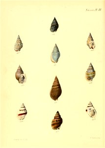 n543_w1150