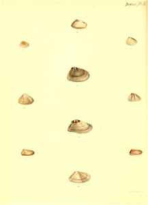 n355_w1150