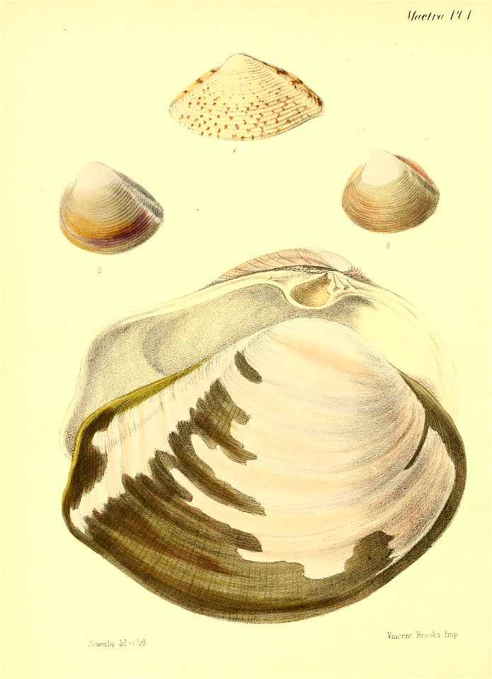 n161_w1150