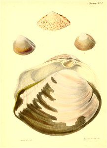 n161_w1150
