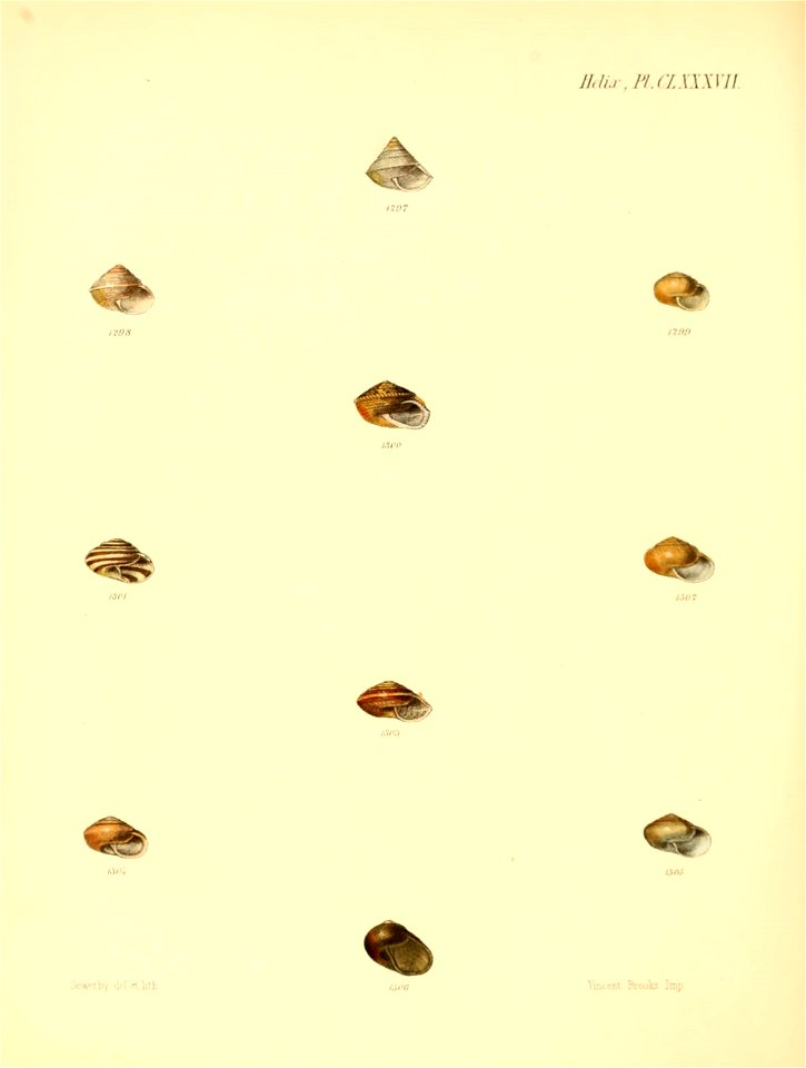 n783_w1150