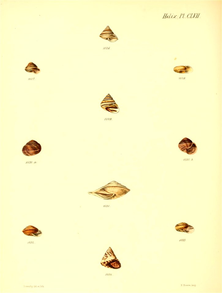 n659_w1150