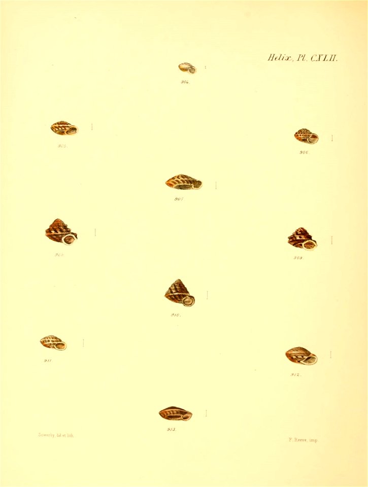 n599_w1150