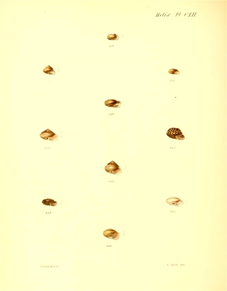 n457_w1150