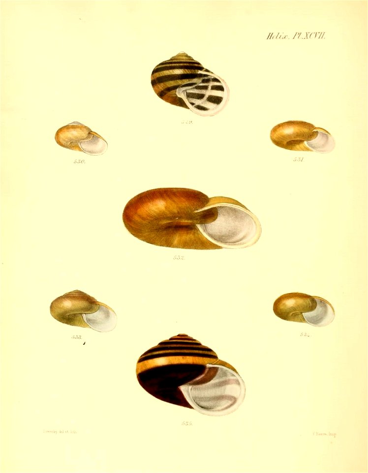 n395_w1150
