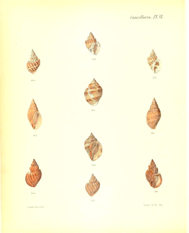 n149_w1150