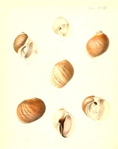 n267_w1150
