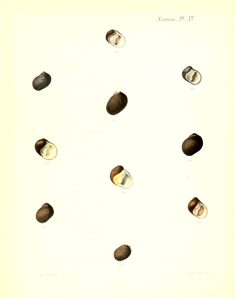 n143_w1150