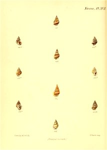 n599_w1150