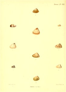 n351_w1150