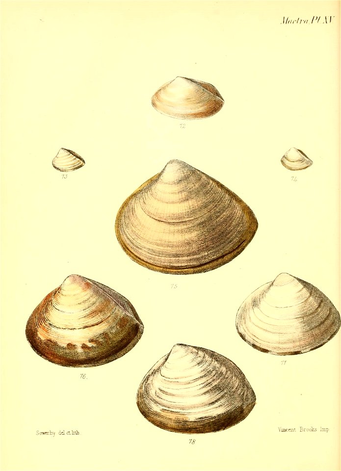 n215_w1150