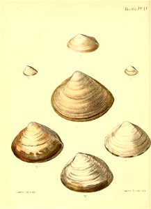 n215_w1150