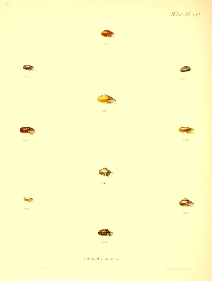 n839_w1150