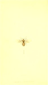 n577_w1150