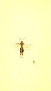 n25_w1150