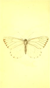 n137_w1150
