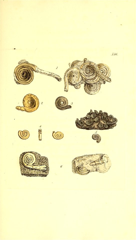 n398_w1150