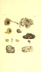 n398_w1150