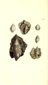 n269_w1150