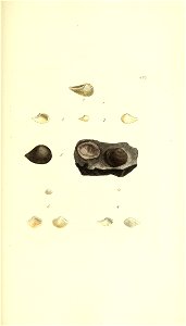 n268_w1150