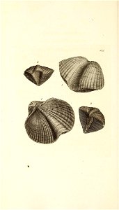 n209_w1150