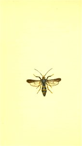 n113_w1150