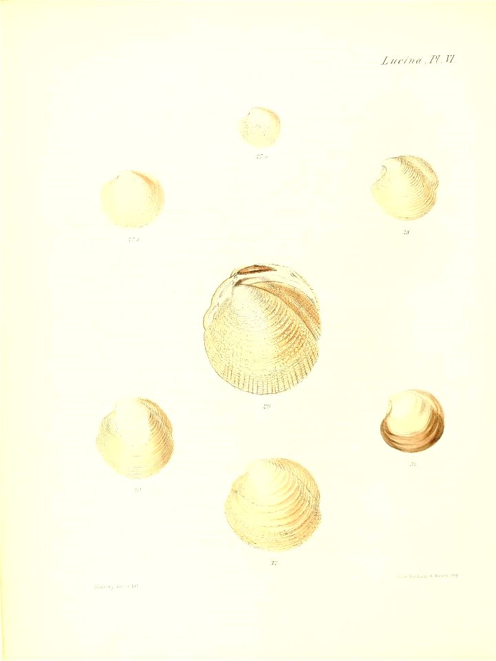 n283_w1150