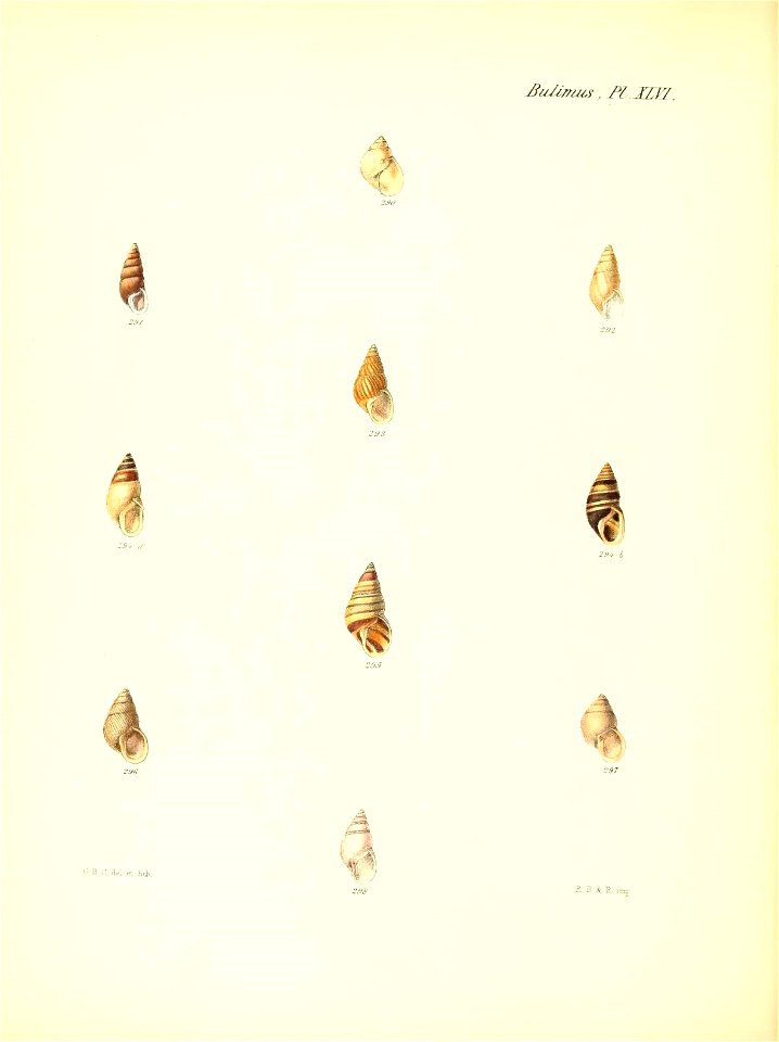 n193_w1150
