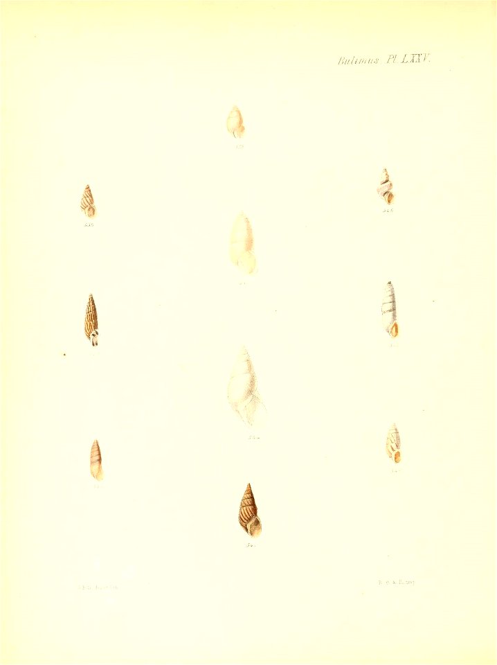 n311_w1150