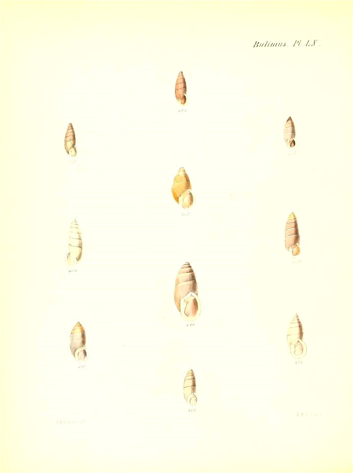 n249_w1150