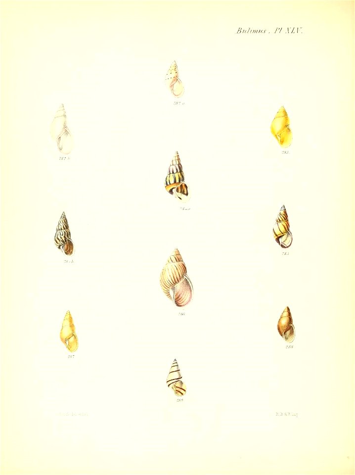 n189_w1150