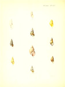 n189_w1150