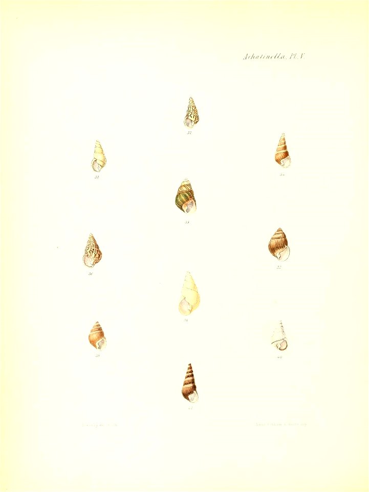 n207_w1150
