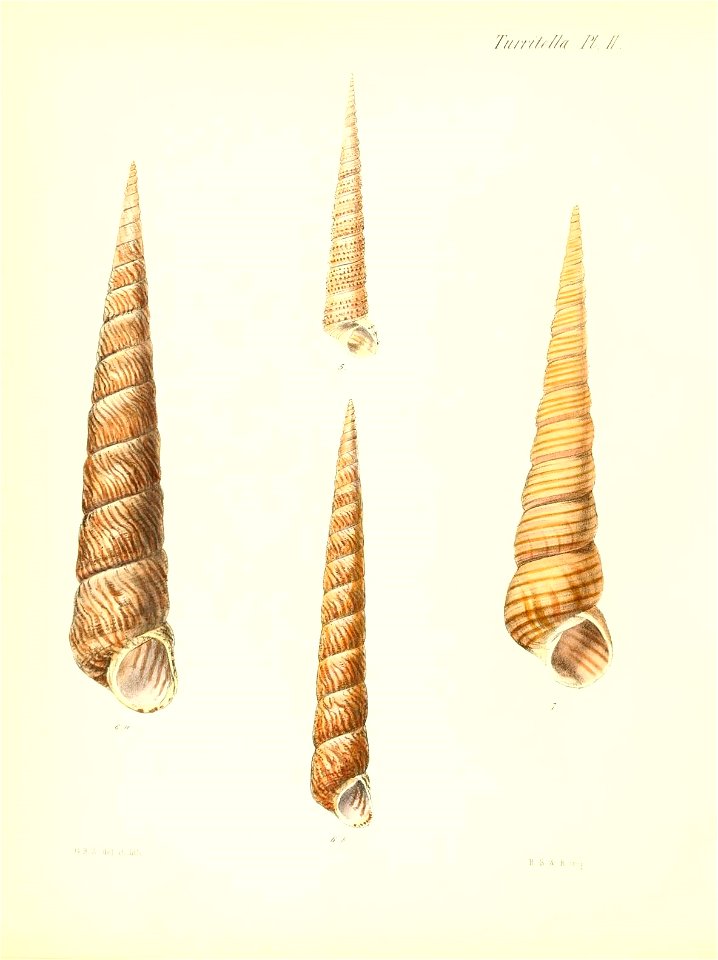 n573_w1150