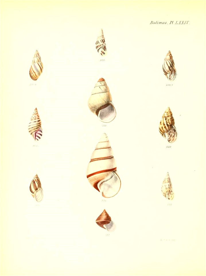 n307_w1150