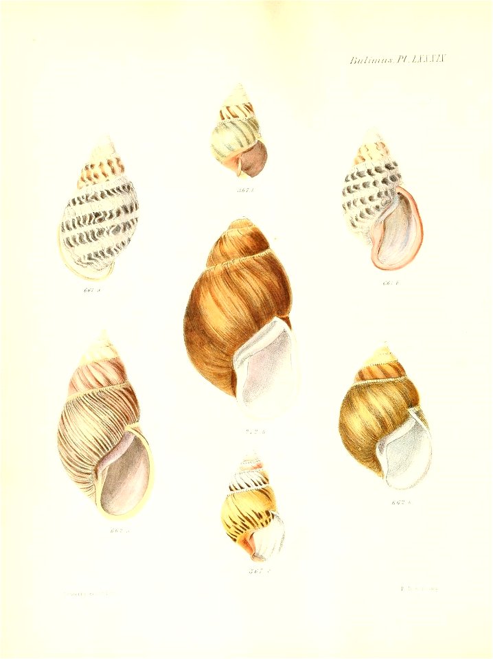 n367_w1150