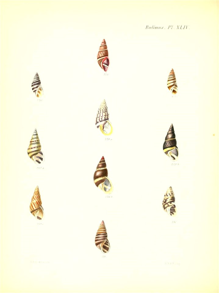 n185_w1150