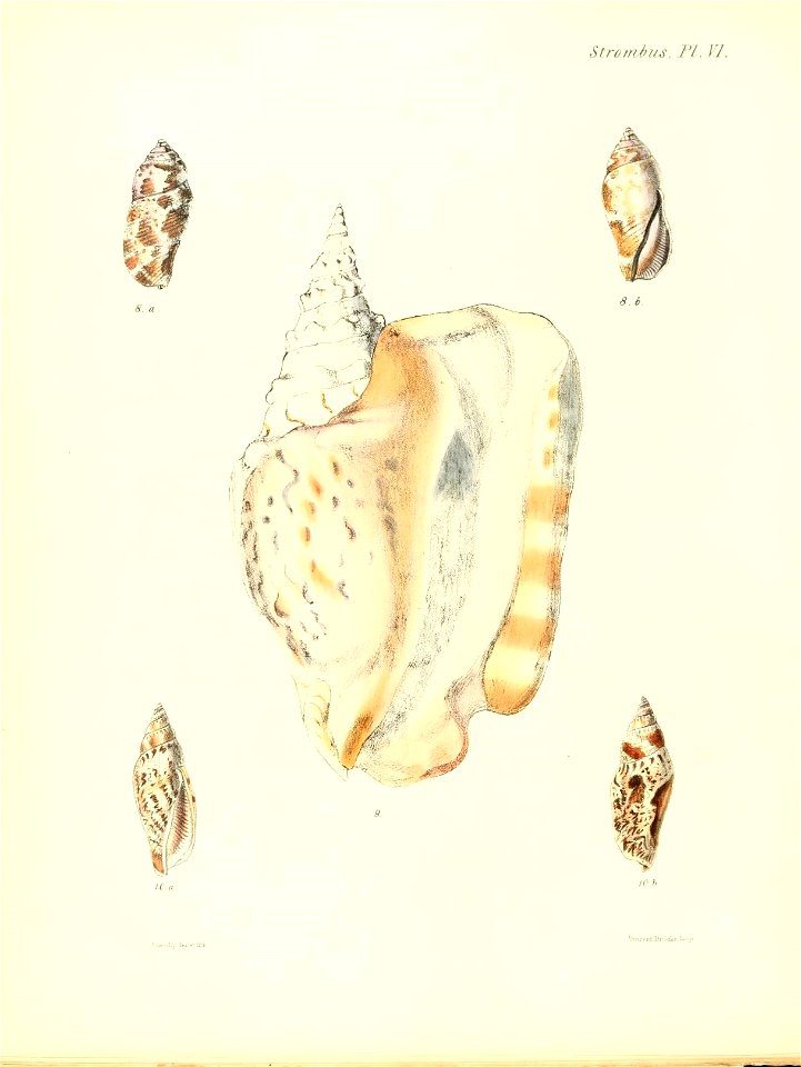 n461_w1150