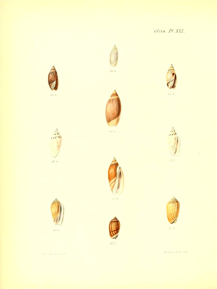 n397_w1150