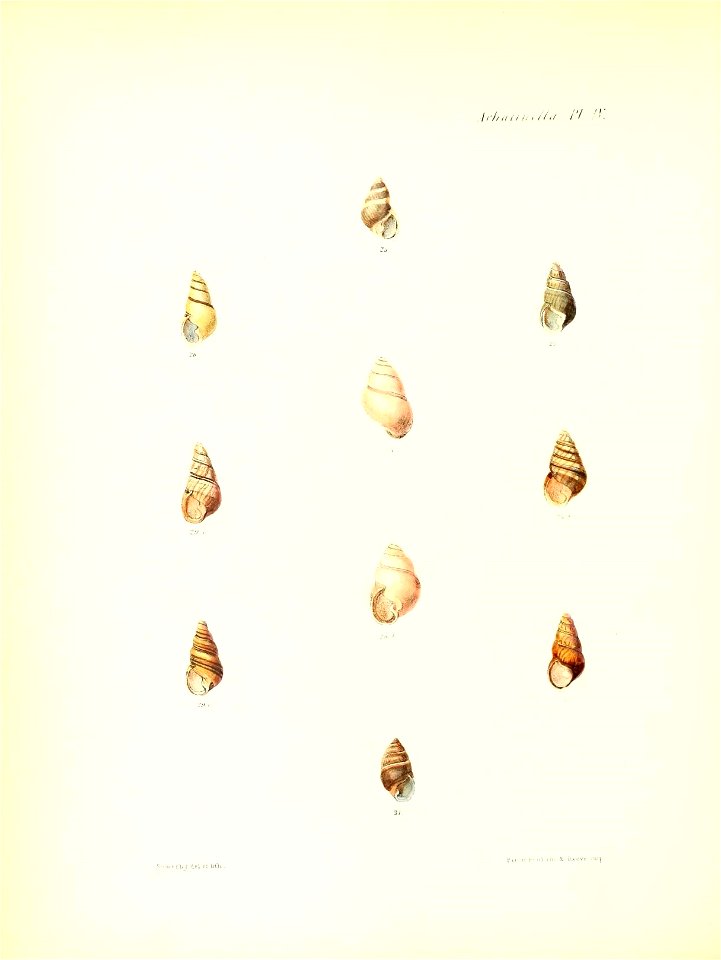 n203_w1150