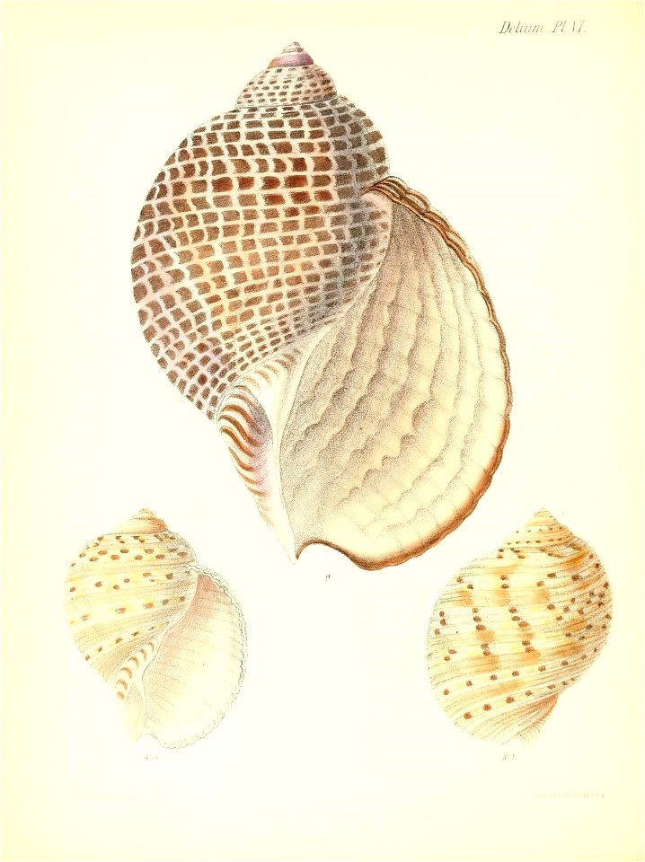 n501_w1150