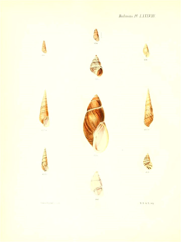 n363_w1150